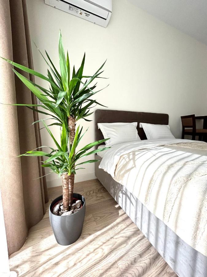 בלגרד Luxury Waterfront View - BW Apartment River View מראה חיצוני תמונה